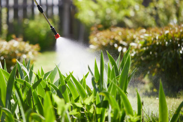 24/7 Emergency Mosquito Control experts in Foley, MN